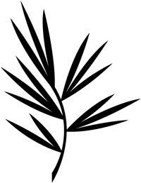 Plant Twig Image